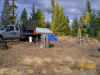 Camp Tent-2008.jpg (233096 bytes)