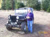 Patti Jeep 1-2010.jpg (328738 bytes)